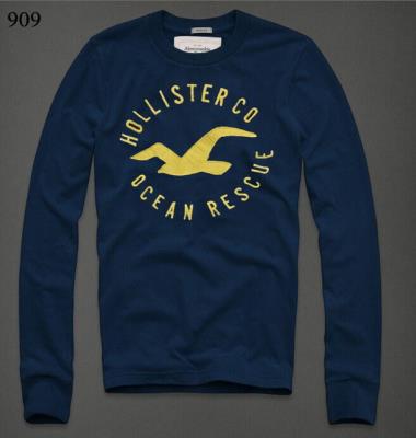 Hollister Men Shirts-513